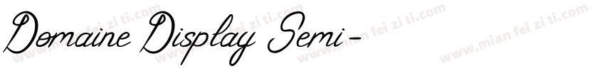 Domaine Display Semi字体转换